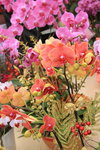 26012014_2014 Chinese New Year Flower Fair@Victoria Park_Varieties00001