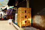 13092014_Yaumatei Fruit Wholesale Market Snapshots00012