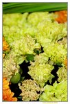 25032015_Hong Kong Flower Show_Carnation石竹00001