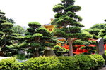 28042015_Nam Lian Garden Snapshots00010