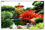 28042015_Nam Lian Garden Snapshots00013