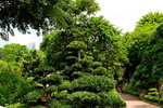 28042015_Nam Lian Garden Snapshots00017
