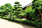 28042015_Nam Lian Garden Snapshots00033