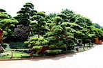 28042015_Nam Lian Garden Snapshots00038