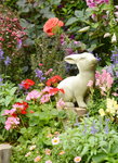 20032015_Hong Kong Flower Show_繁花似錦00010