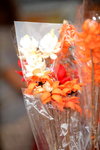 20032015_Hong Kong Flower Show_繁花似錦00027