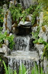 20032015_Hong Kong Flower Show_繁花似錦00030