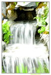 20032015_Hong Kong Flower Show_繁花似錦00031