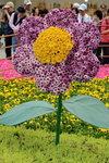 20032015_Hong Kong Flower Show_繁花似錦00037
