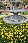 20032015_Hong Kong Flower Show_繁花似錦00041