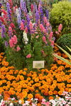 20032015_Hong Kong Flower Show_繁花似錦00043