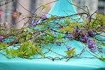 20032015_Hong Kong Flower Show_繁花似錦00051