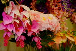 20032015_Hong Kong Flower Show_繁花似錦00055