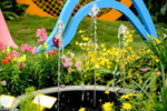 20032015_Hong Kong Flower Show_繁花似錦00071