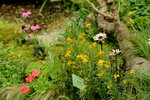 20032015_Hong Kong Flower Show_繁花似錦00074