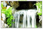 20032015_Hong Kong Flower Show_繁花似錦00088