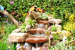 20032015_Hong Kong Flower Show_繁花似錦00091