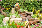 20032015_Hong Kong Flower Show_繁花似錦00092