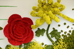 20032015_Hong Kong Flower Show_繁花似錦00095