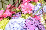 20032015_Hong Kong Flower Show_繁花似錦00131
