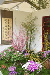 20032015_Hong Kong Flower Show_Ikebena Club00011
