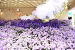 20032015_Hong Kong Flower Show_Ikebena Club00073