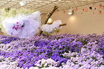 20032015_Hong Kong Flower Show_Ikebena Club00076