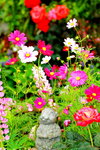 25032015_Hong Kong Flower Show_Kiku菊花00002