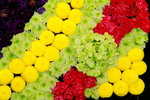 25032015_Hong Kong Flower Show_Kiku菊花00025