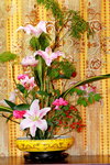 25032015_Hong Kong Flower Show_Varieties00003