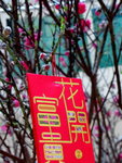 04022015_Plaza Hollywood Lunar New Year Snapshots00002