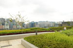12042015_Kai Tak Cruise Terminal Snapshots00012