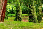 12072015_Lingnan Garden Snapshots00001
