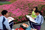 20032015_Hong Kong Flower Show_小畫家00021