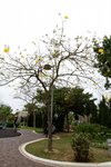 22032015_Ma On Shan Park Snapshots00001