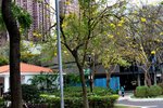 22032015_Ma On Shan Park Snapshots00013