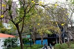 22032015_Ma On Shan Park Snapshots00014
