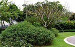 22032015_Ma On Shan Park Snapshots00015