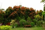 22032015_Ma On Shan Park Snapshots00020