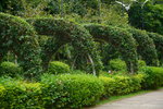 11102015_Ma Wan Park Snapshots00006