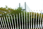11102015_Ma Wan Park Snapshots00009