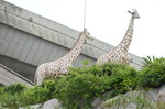 13062015_Ma Wan_Noah's Ark00003