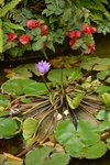 21032015_Ma Wan Park Snapshots00012