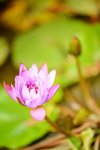 21032015_Ma Wan Park Snapshots00014