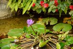 21032015_Ma Wan Park Snapshots00015