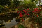 21032015_Ma Wan Park Snapshots00021