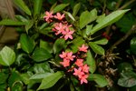21032015_Ma Wan Park Snapshots00022