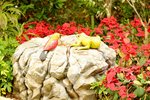 21032015_Ma Wan Park Snapshots00023