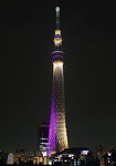23042015_Tokyo Skytree Tower00007