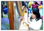 16032016_Hong Kong Flower Show 2016_Harp Solo_Arielle Wong00016